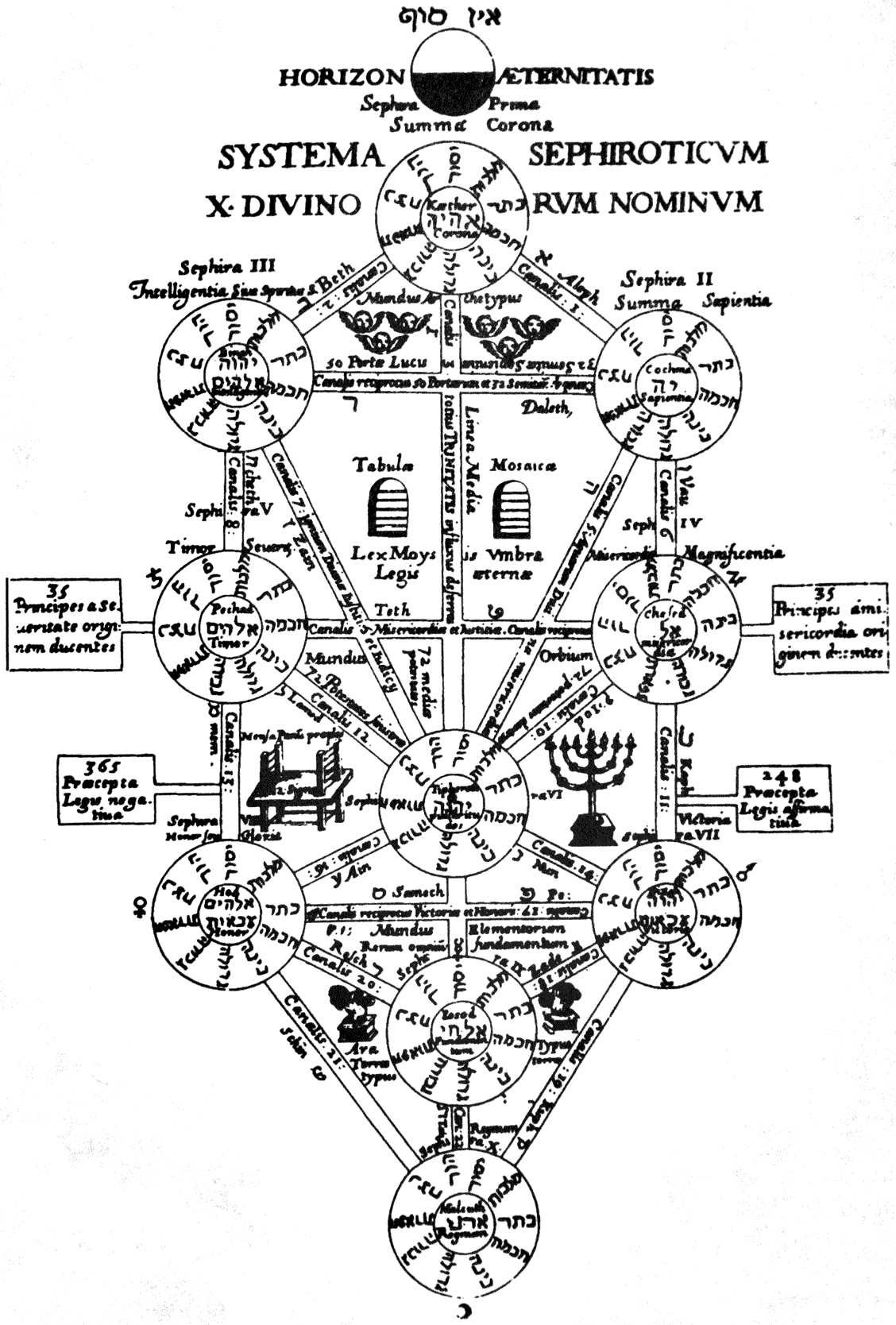 The Interconnected Nature of Philosophy and History